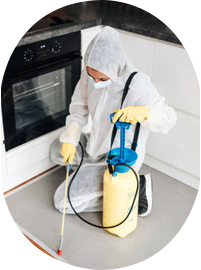 professional cleaning in Qatar